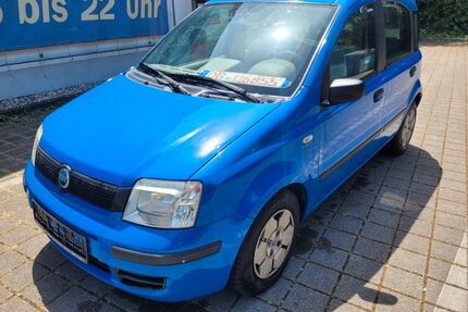 Fiat Panda Gebrauchtwagen