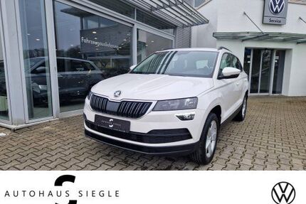 Skoda Karoq Gebrauchtwagen