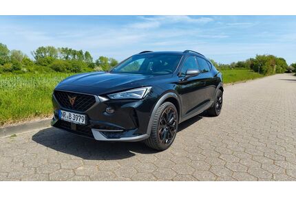 Cupra Formentor Gebrauchtwagen