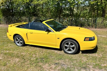 Ford Mustang Gebrauchtwagen
