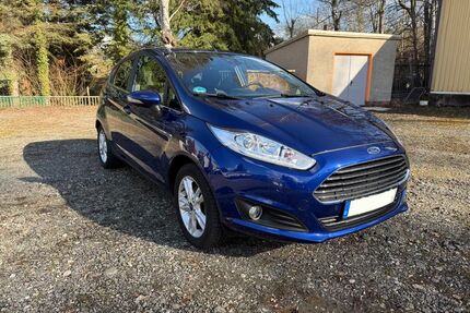 Ford Fiesta Gebrauchtwagen