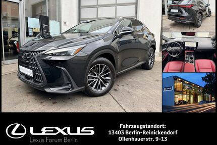 Lexus NX 450h Gebrauchtwagen