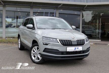 Skoda Karoq Gebrauchtwagen
