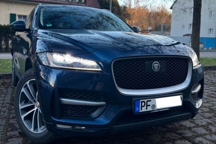 Jaguar F-Pace Gebrauchtwagen