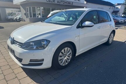 VW Golf VII 1.6 TDI Cup BMT Gebrauchtwagen