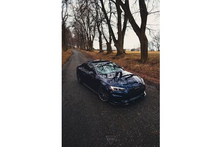 Audi S5 Gebrauchtwagen