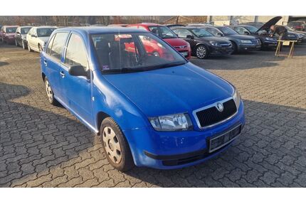 Skoda Fabia Gebrauchtwagen