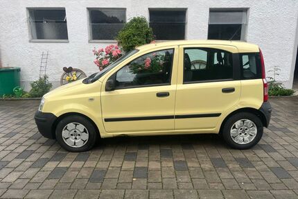 Fiat New Panda Gebrauchtwagen