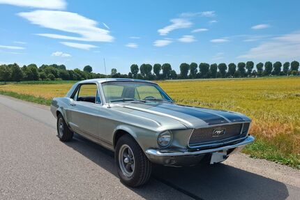 Ford Mustang Gebrauchtwagen
