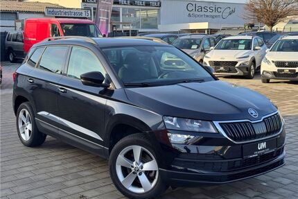 Skoda Karoq Gebrauchtwagen