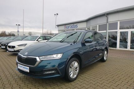 Skoda Octavia Gebrauchtwagen