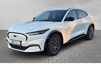 Ford Mustang Mach-E Gebrauchtwagen