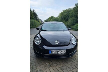 VW Beetle Gebrauchtwagen