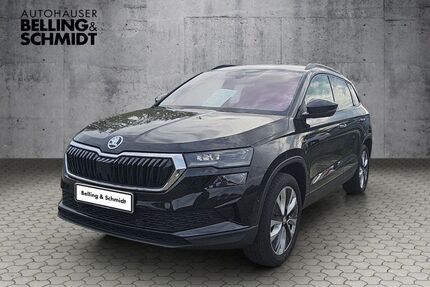 Skoda Karoq Gebrauchtwagen