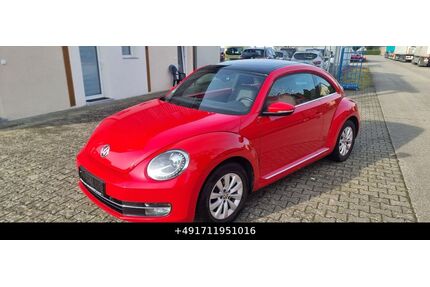 VW Beetle Gebrauchtwagen