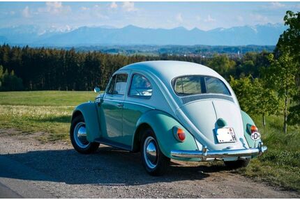 VW Käfer Gebrauchtwagen
