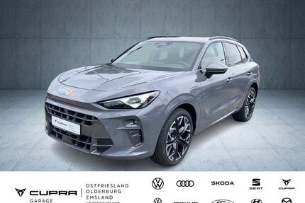 Cupra Terramar Gebrauchtwagen