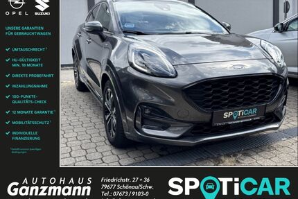 Ford Puma Gebrauchtwagen