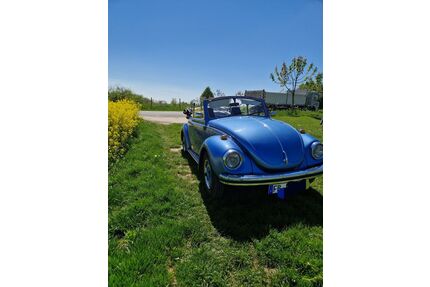 VW Käfer Gebrauchtwagen