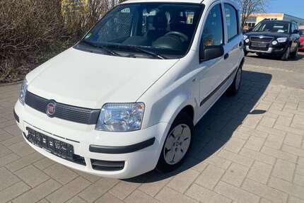 Fiat Panda Gebrauchtwagen