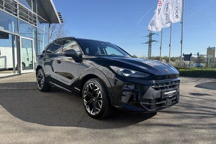 Cupra Terramar Gebrauchtwagen