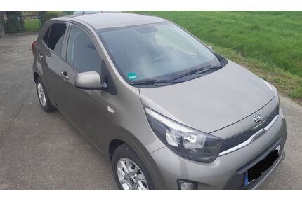 Kia Picanto Gebrauchtwagen