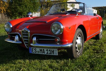 Alfa Romeo Giulia Gebrauchtwagen