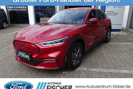 Ford Mustang Mach-E Gebrauchtwagen