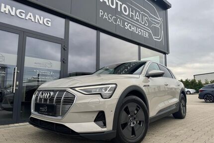 Audi e-tron Gebrauchtwagen