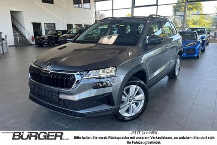 Skoda Karoq Gebrauchtwagen