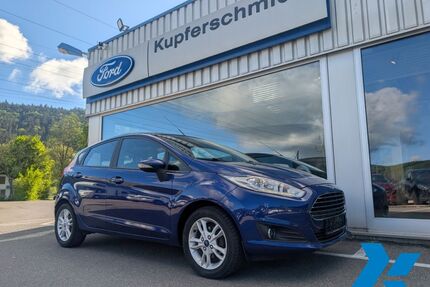 Ford Fiesta Gebrauchtwagen