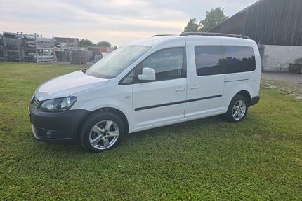 VW Caddy Maxi Gebrauchtwagen