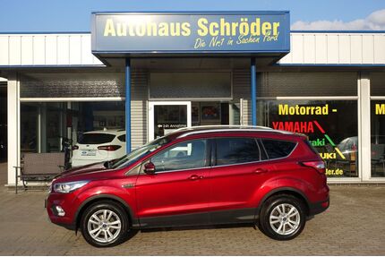 Ford Kuga Gebrauchtwagen