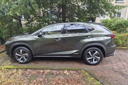 Lexus NX 300 Gebrauchtwagen