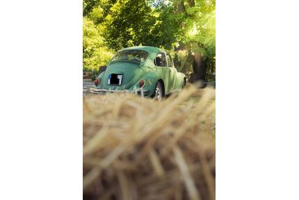 VW Käfer Gebrauchtwagen