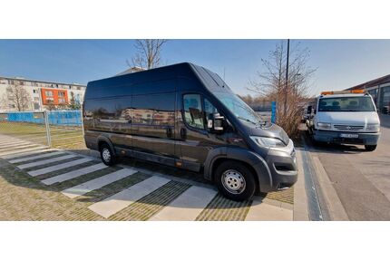 Fiat Ducato Gebrauchtwagen