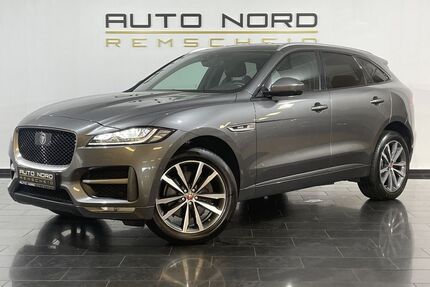 Jaguar F-Pace Gebrauchtwagen