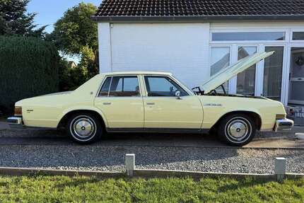 Buick Le Sabre Gebrauchtwagen