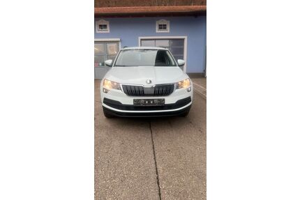 Skoda Karoq Gebrauchtwagen