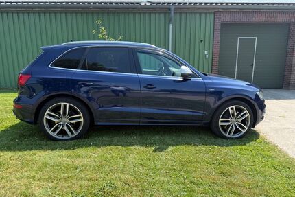 Audi SQ5 Gebrauchtwagen