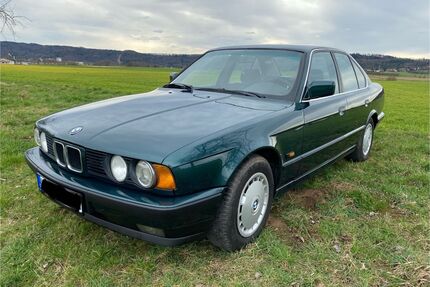 BMW 525 Gebrauchtwagen