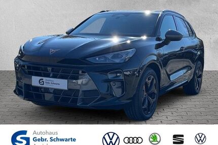 Cupra Terramar Gebrauchtwagen