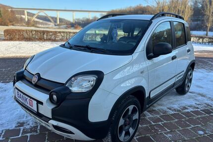 Fiat Panda Gebrauchtwagen
