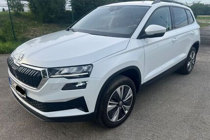 Skoda Karoq Gebrauchtwagen