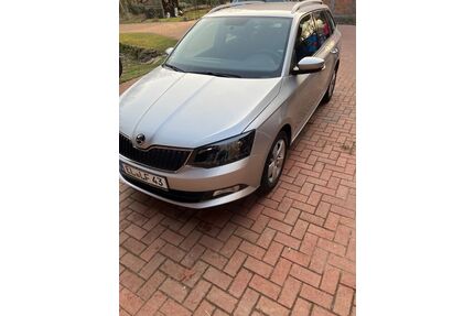 Skoda Fabia Gebrauchtwagen