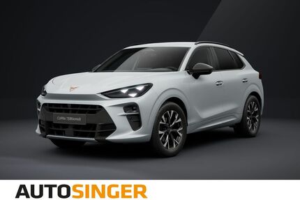 Cupra Terramar Gebrauchtwagen