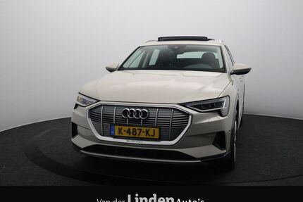 Audi e-tron Gebrauchtwagen