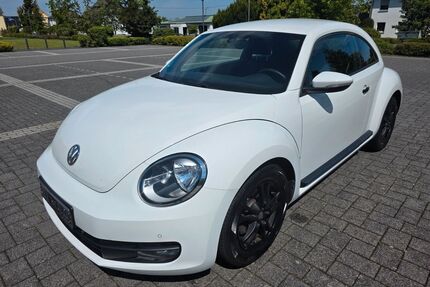 VW Beetle Gebrauchtwagen