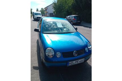VW Polo Gebrauchtwagen