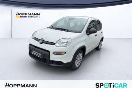 Fiat Panda Gebrauchtwagen